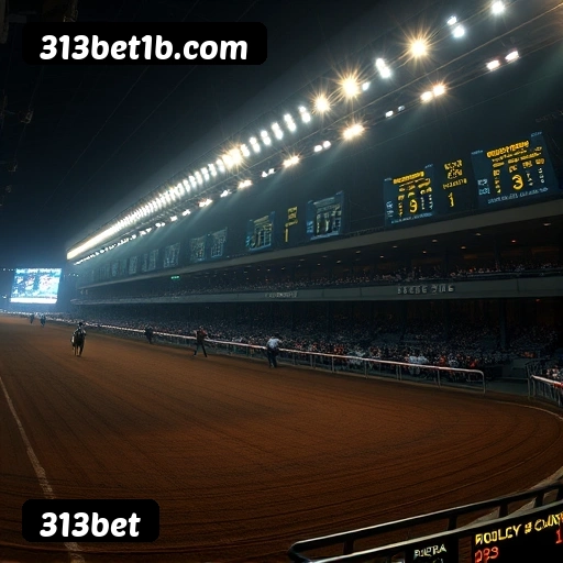 Cadastro na 313bet